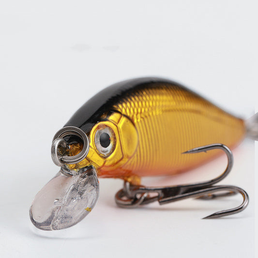 MrFishingSupplies | Crankbait Freshwater Fishing Bass Blackfish Bait