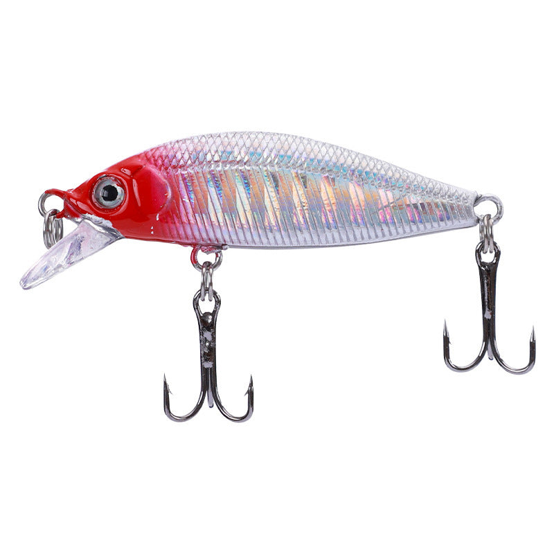 MrFishingSupplies | Crankbait Freshwater Fishing Bass Blackfish Bait