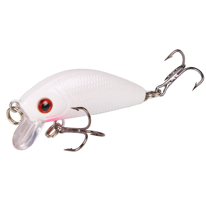 MrFishingSupplies |   Crankbait Minow 5cm42g With Ring Beads