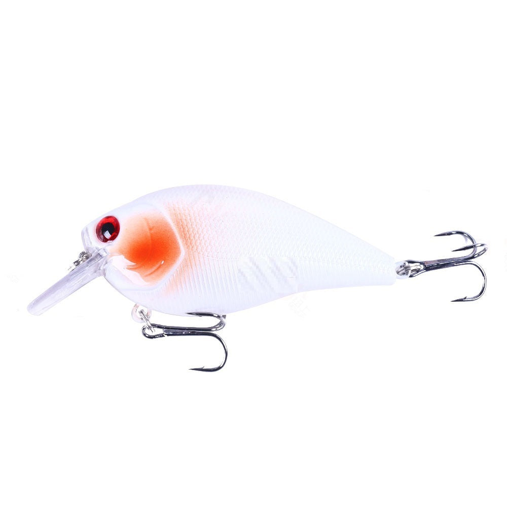 MrFishingSupplies |  Crankbait Fish Fishing Bait Fishing Tackle