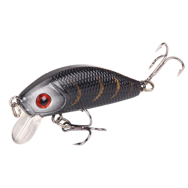 MrFishingSupplies |   Crankbait Minow 5cm42g With Ring Beads